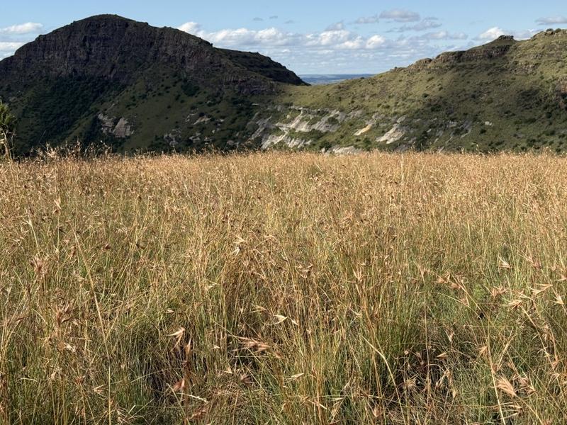 0 Bedroom Property for Sale in Fouriesburg Free State